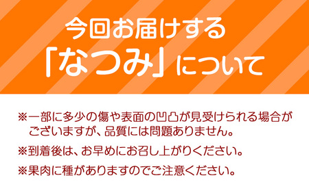 ＜先行予約＞初夏のみかん なつみ 約 5kg 株式会社 魚鶴商店 みかん 蜜柑