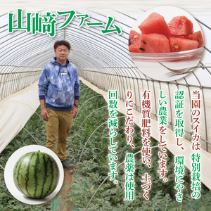 すいか 羅皇 ザ・スイート 2L（1玉入り） 西瓜 高糖度 シャリ感 甘い 夏限定 旬 フルーツ すいか 人気 産地直送 ギフト 茨城県 阿見町【先行予約｜2026年6月中旬より配送】(76-01）