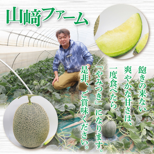 阿見グリーンメロン 5Ｌサイズ (2玉入り)(化粧箱) 青肉 高糖度 高級 甘い 夏限定 旬 フルーツ 果汁たっぷり 人気 産地直送 ギフト 茨城県 阿見町【先行予約｜2026年6月中旬より配送】（76-03）