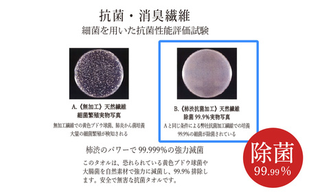 今治タオルブランド認定品　「柿渋染め 古来の彩（いろ）」フェイスタオル 6枚