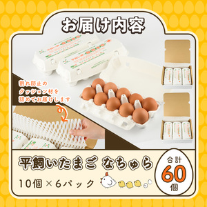 平飼い卵 なちゅら(計60個・10個×6P) 卵 玉子 鶏卵 卵かけご飯 玉子焼き【108800500】【カジワラファーム】