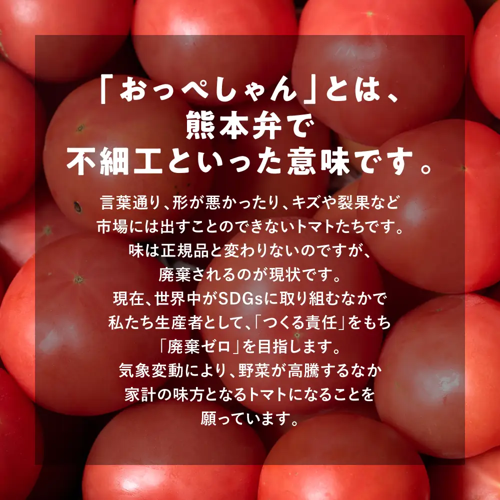 トマト 【訳あり】 おっぺしゃんトマト 3.5kg トマト とまと 野菜