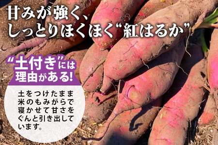 ねっとり甘々！茨城県名産べにはるか干し芋詰め合わせ（平干し、丸干し、切り落とし各400g） B15-001
