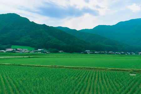 【令和7年度産】 松本さんちのお米10kg B15-004