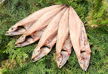 藤文の「ふるさと干物セット定期便」（年６回） 金目鯛 きんめ さば さんま 秋刀魚 サンマ あじ 鯵 ひもの みりん干し 定期便 西伊豆 伊豆 ギフト お歳暮 お中元[0823234]