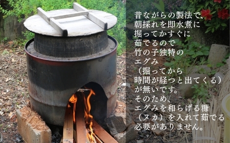 国産 たけのこ 水煮 900g タケノコ 竹の子 長期保存 真空パック 15005-40001076-g