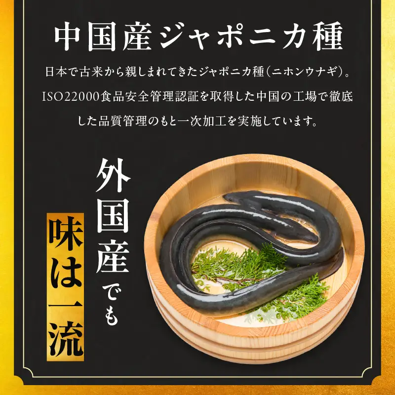 暴れ盛りセット 牛たん & うなぎ 総量 1.2kg