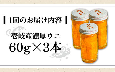 【全3回定期便】壱岐産 濃厚 ウニ 60g ×3本《壱岐市》【合同会社塚元】ムラサキウニ [JDR038]