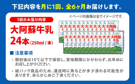 【全6回定期便】大阿蘇牛乳 ロングライフ 250ml 24本（12本入り×2ケース） 6L 牛乳[AYAC028]