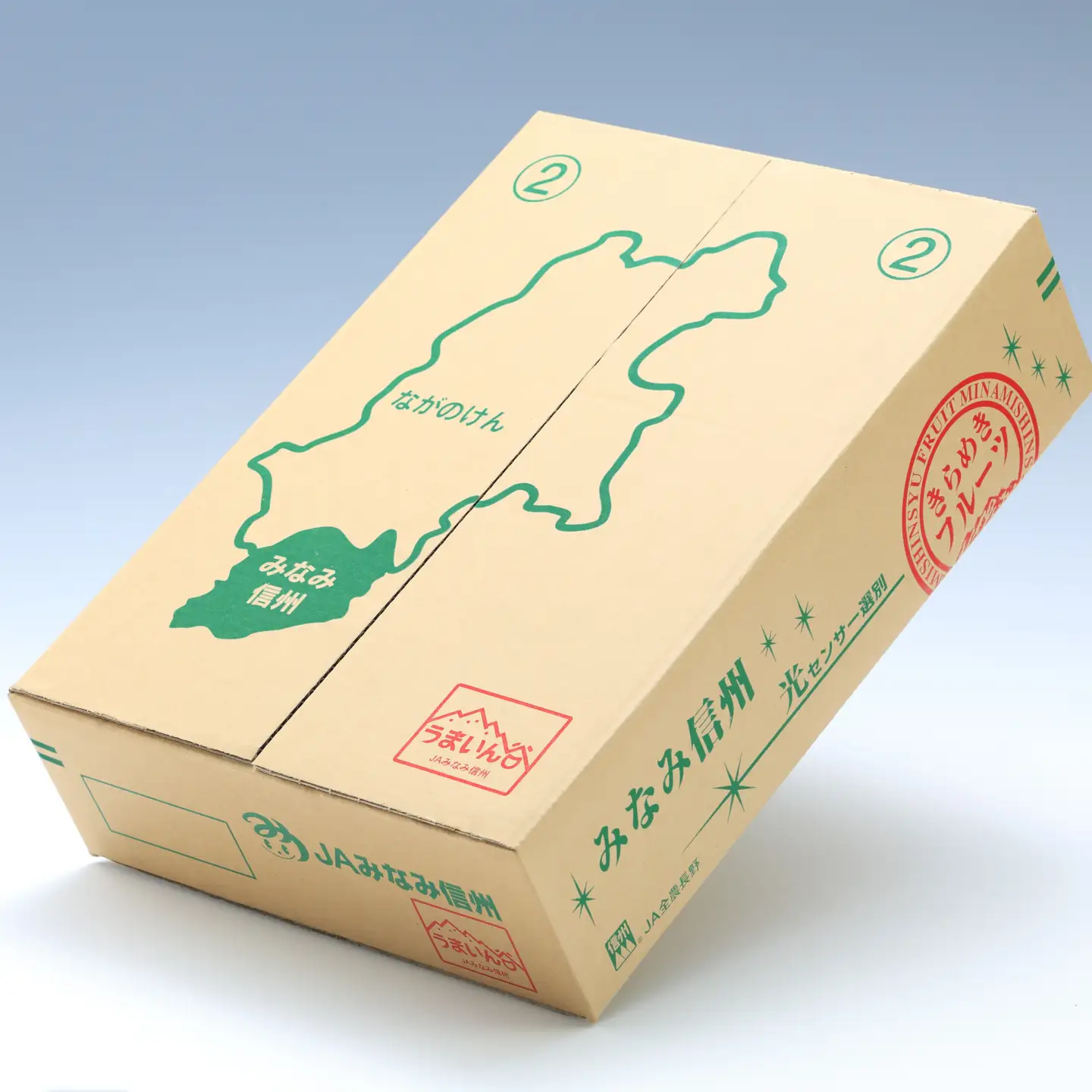 【南信州産】サンつがる 約5kg 秀品 ＜2026年8月下旬～順次発送＞ ＪＡみなみ信州ＤＭセンター飯田市