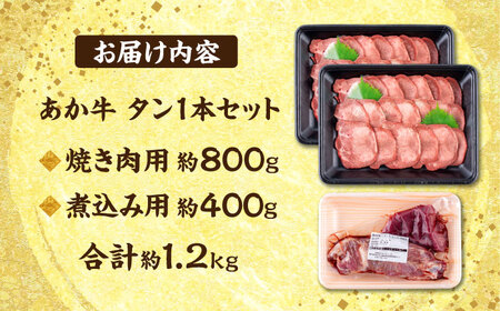  熊本 あか牛 タン 1本セット 約1.2kg 焼き肉用約800g 煮こみ用約400g 牛タン [AYCB016]
