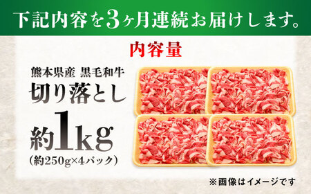 【全3回定期便】熊本県産 『原田畜産』 黒毛和牛 切り落とし 計約1kg（約250g×4パック 牛肉切り落とし[AYCN042]