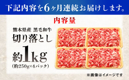 【全6回定期便】熊本県産 『原田畜産』 黒毛和牛 切り落とし 計約1kg（約250g×4パック） 牛肉切り落とし [AYCN046]