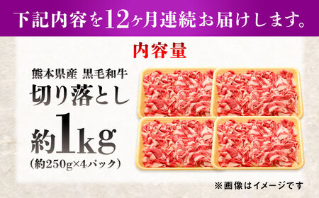 【全12回定期便】熊本県産 『原田畜産』 黒毛和牛 切り落とし 計約1kg（約250g×4パック） 牛肉切り落とし [AYCN047]