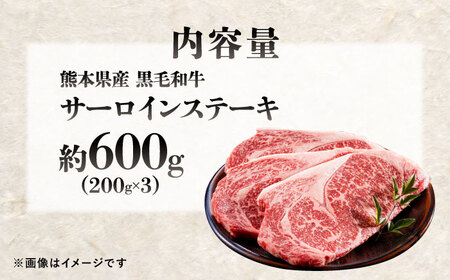 熊本県産 『原田畜産』 黒毛和牛 サーロイン ステーキ 計約600g（約200g×3枚）サーロインステーキ  [AYCN050]