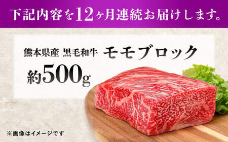 【全12回定期便】熊本県産 『原田畜産』 黒毛和牛 モモ ブロック 約500g モモブロック [AYCN098]