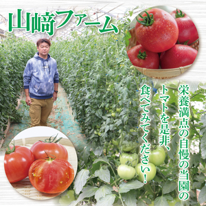 先行予約 トマト りんか409 約4kg 野菜 産地直送 栄養満点 新鮮 こだわり栽培 夏 旬 甘み 酸味 とまと 茨城県 阿見町産【2026年5月下旬より順次発送予定】(76-08)
