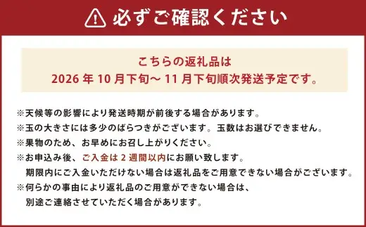 福岡県産ブランド柿・秋王 約1.5kg （4-6玉） 柿 カキ かき 果物 くだもの フルーツ 冷蔵 国産 岡垣町 【2026年10月下旬～11月下旬発送予定】