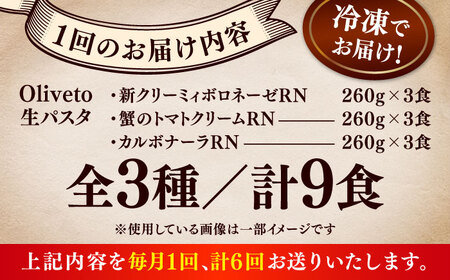 全6回定期便 生パスタ 3種類×3食(計9食) 冷凍パスタ BHAY011