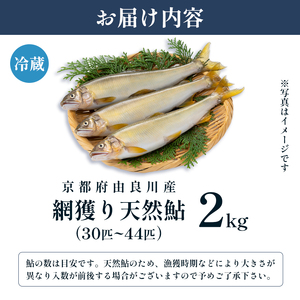 【2026年夏発送】 天然鮎 網獲り 約2kg（約30匹〜44匹）