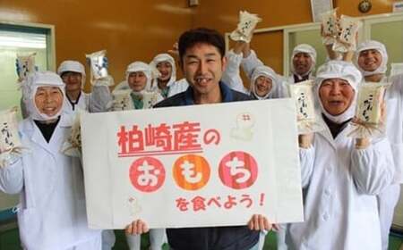 先行予約【期間・数量限定】杵つきこがねもち 白餅 400g入×6パック（計48切） 切り餅 新潟県産[Y0505]
