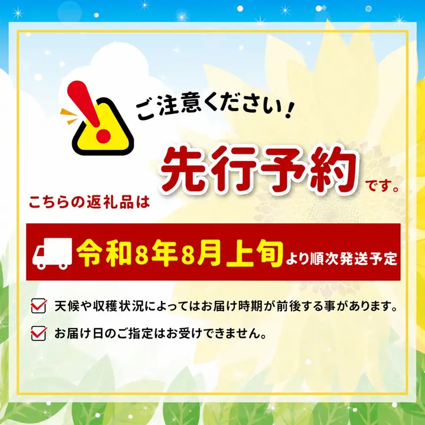 南信州産 梨【幸水】3kg ＜2026年8月上旬～中旬発送＞