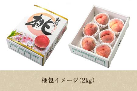 【2026年先行予約】新潟県産 桃 2kg（6～9玉）《7月下旬～順次出荷》