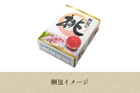 【2026年先行予約】新潟県産 桃 3kg（9～12玉）《7月下旬～順次出荷》