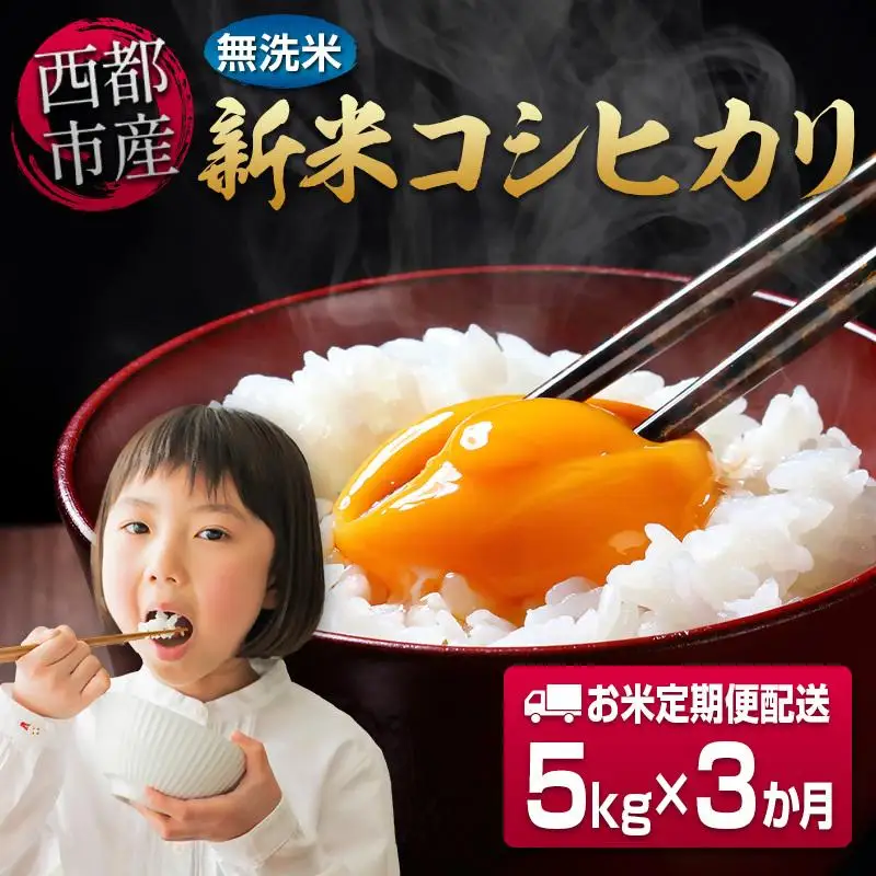 【3ヶ月定期便】 新米コシヒカリ無洗米 5kg×3 合計15kg 令和8年産 8月～10月発送 宮崎県西都市産＜18-23b＞こしひかり 精米 白米 お米