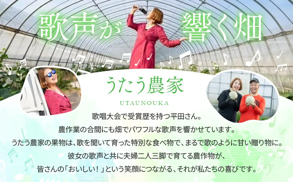 【先行予約】956.【ふるさと納税】青肉メロンディーバと赤肉メロンプリモレッドのセット ※日本全国配送可能  2026年10月上旬頃～11月上旬頃に順次発送予定