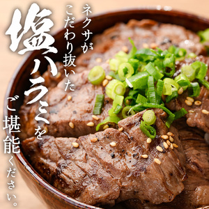 プライム牛 塩ハラミ(計200g) 小分け 牛肉 肉 ハラミ 牛はらみ 味付け 焼肉 塩 BBQ 冷凍 大分県 佐伯市【DH294】【(株)ネクサ】