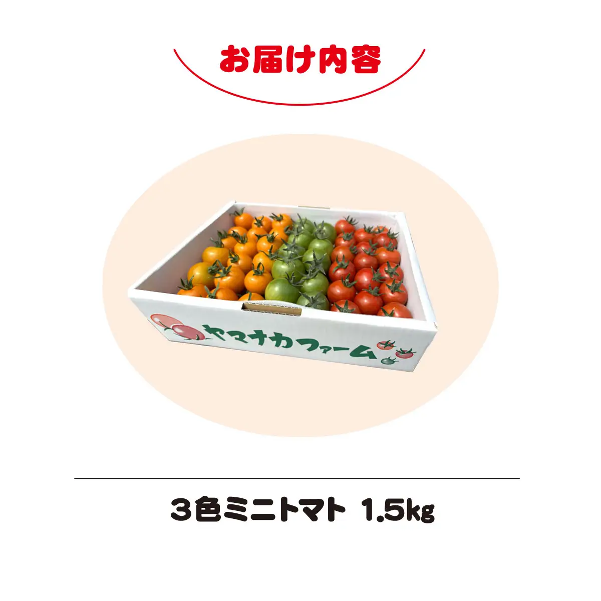 3色ミニトマト　1.5㎏ SHAK001