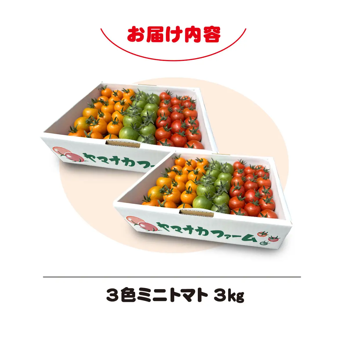 3色ミニトマト　3㎏（1.5㎏×2箱） SHAK002