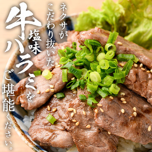 塩味 牛ハラミ (計200g) 小分け 牛肉 肉 ハラミ 牛はらみ 味付け 焼肉 塩 BBQ 冷凍 大分県 佐伯市【DH297】【(株)ネクサ】