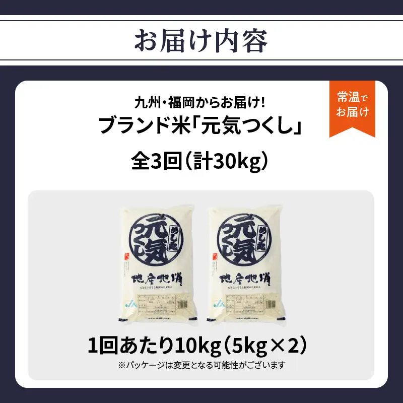 九州・福岡からお届け！ブランド米「元気つくし」定期便 10kg(5㎏×2)【全3回】 お米 米 コメ 白米 特A 直送 お弁当 おにぎり 炊きたて ツヤ 粘り もちもち 弾力 卵かけご飯 福岡県 八女市 072-T154