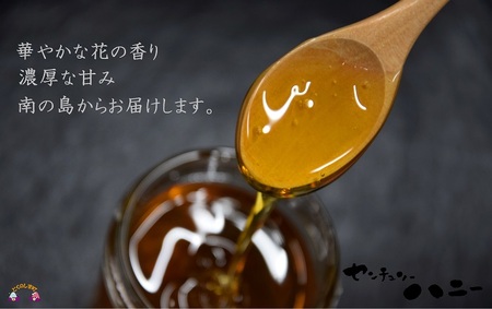 ～徳之島のマンゴー農家さんが作ったはちみつ～センチュリーハニー（2本）( ハチミツ ハニー 徳之島 お菓子 調味料 自然食品 スイーツ 生 100% パンケーキ ケーキ 奄美 鹿児島 )