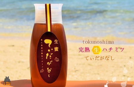 徳之島産完熟“生”ハチミツ「てぃだがなし」（大）（500g×1本）( はちみつ ハニー 徳之島 お菓子 調味料 自然食品 スイーツ 生 100% パンケーキ ケーキ 奄美 鹿児島 )