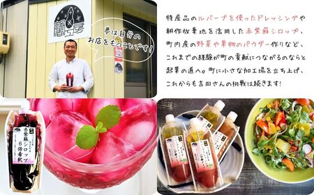 濃縮 赤紫蘇シロップ ６倍希釈 500ml×２０本 | 紫蘇シロップ 馨工房 