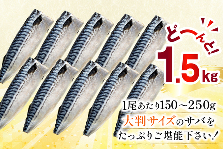 訳あり 塩サバ フィレ 1.5kg [足利本店 宮城県 気仙沼市 20565942] 魚介類 魚 海鮮 大容量 サバ さば 鯖 サバフィレ サバフィーレ 鯖フィレ 切り身 冷凍 訳アリ 訳あり わけあり トロサバ 減塩 とろさば