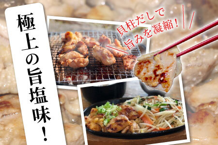 奥三河どり使用！ 田口塩鶏 国産 若鶏味付け肉 2種セット 1kg（もも肉250g×2・むね肉250g×2）もも肉 むね肉 塩ダレ 味付け肉 鶏肉 鶏 肉 キャンプ バーベキュー 味付け肉 大容量 手軽 焼くだけ 地鶏 焼肉 焼き鳥 -170