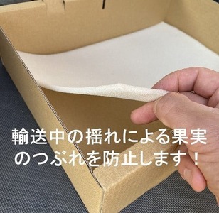 愛楽農園の"富"葉土いちじく【380g×4パック】・A023-13