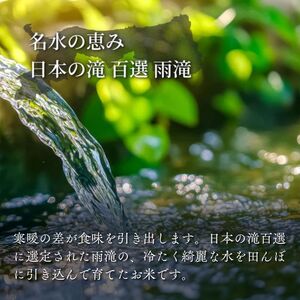 Y486 因幡の白兎米 きぬむすめ 令和8年産 精米済 10kg（5kg×2袋）