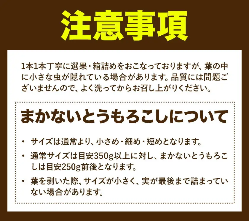 【先行予約】とうもろこし約3kg老沼利治《6月中旬-7月中旬頃出荷》朝採れスイートコーン