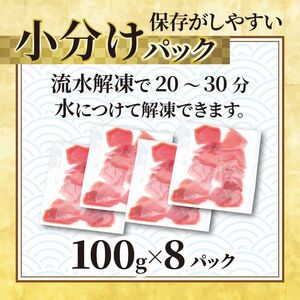 天然「めばちマグロ」！天然目鉢マグロ切り落とし 800g
