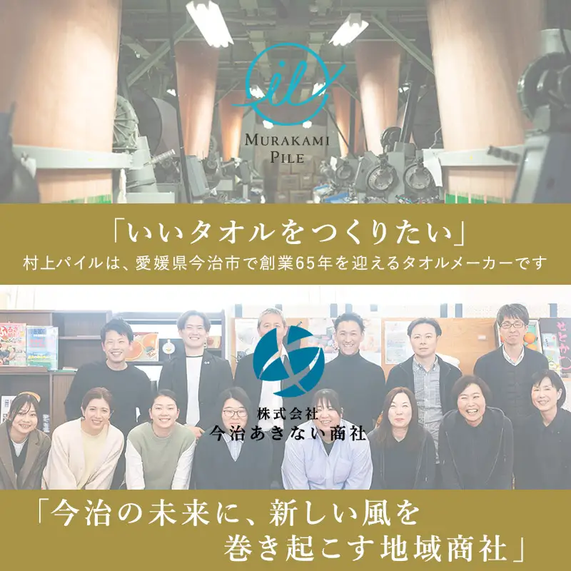 (今治タオル)ふるさと納税限定 上質今治タオル ビックフェイスタオル 4枚セット（クラウドブルー）