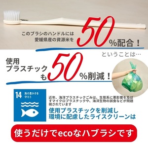 歯ブラシ お米歯ブラシ ライスクリーン やわらかめ 6本 【3色×2本】 お米でできた歯ブラシ オーラルケア ハブラシ 山陽物産｜B440