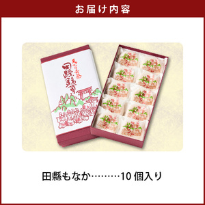 田縣もなか　１０個入り［176T01］