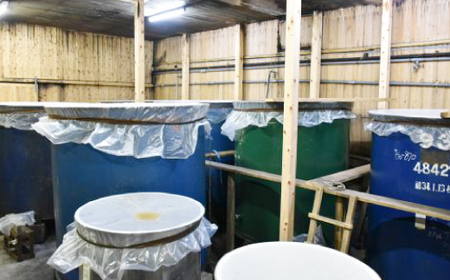 大吟醸 藤娘 と 本醸造 藤娘 セット 720ml 2本 全国新酒鑑評会 金賞 淡麗 爽やか 辛口 おいしい アルコール分 15度 17度 日本酒 お酒 酒 酒蔵 純米 誕生日 お祝い 父の日 母の日 敬老の日 贈り物 高知 26-321