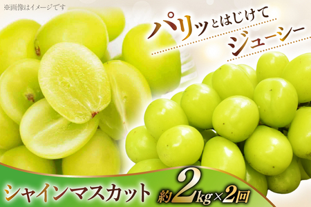 【2026年発送！先行予約！】 桃約2.0kg×2回 シャインマスカット約2.0kg×2回 おごっそう！！定期便4回 NS-1017 [韮崎翠緑 山梨県 韮崎市 20744990]