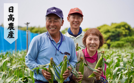 【 5月 ～ 6月 限定 】 種子島 産 朝どれ とうもろこし ホワイトコーン (30～36本)　NFN619【600pt】 ホワイトコーン トウモロコシ 人気 期間限定 朝獲れ 新鮮 数量限定 甘み 柔らかい ジューシー 冷蔵便